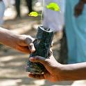 Distribute Saplings